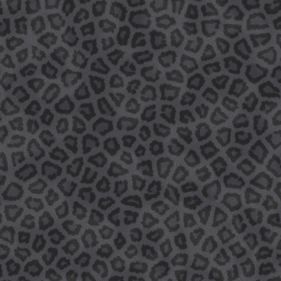 Animal Print - Black Cheetah Print