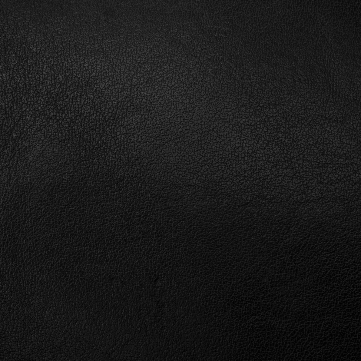 Western Print - Black Leather