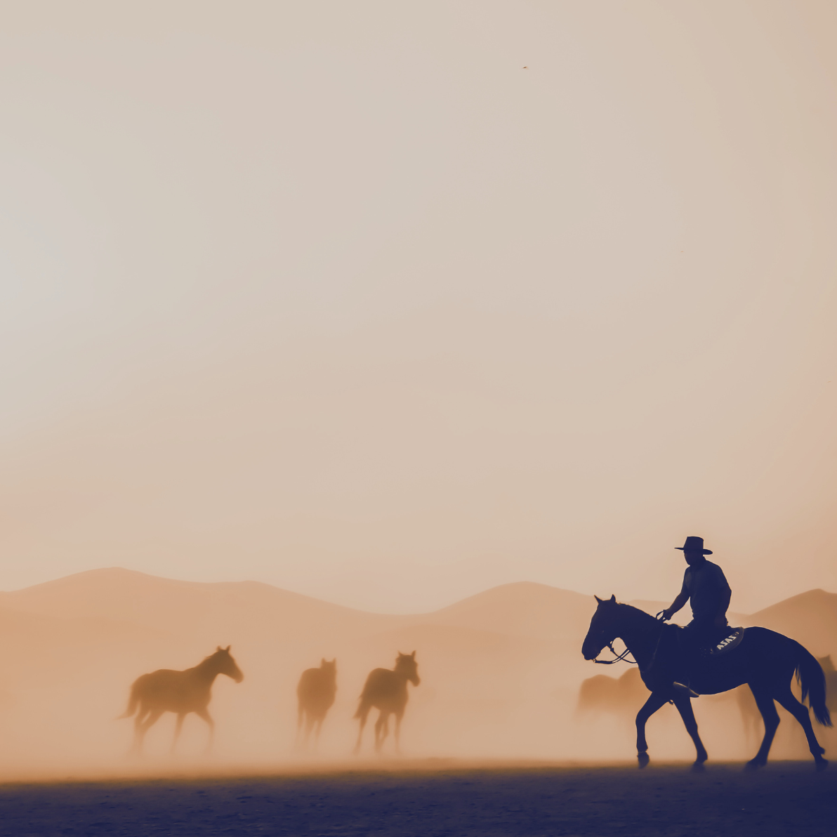 Western Print - Desert Cowboy