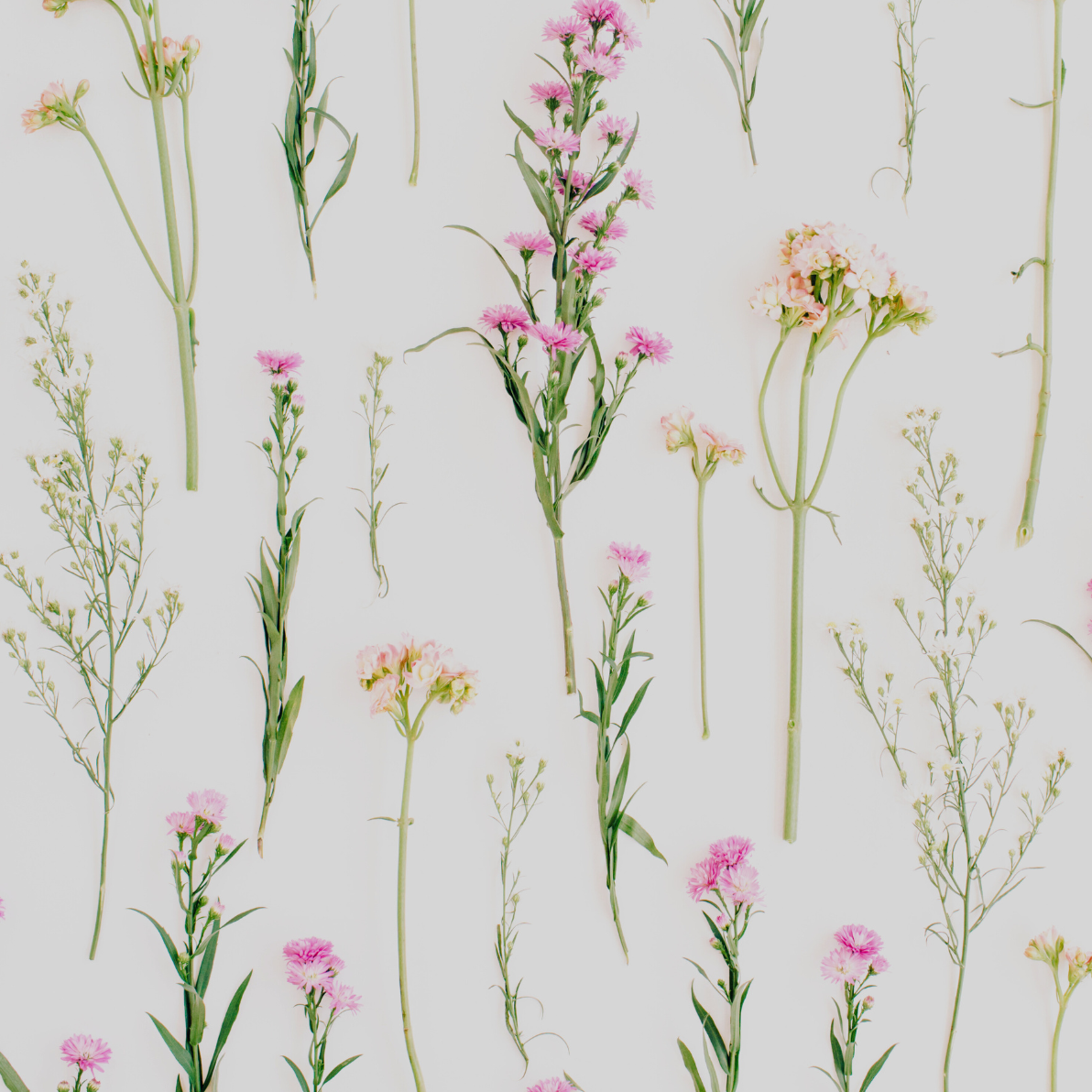 Floral Print - Floral 5