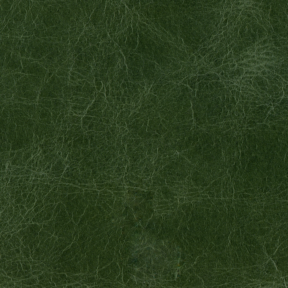 Western Print - Green Leather