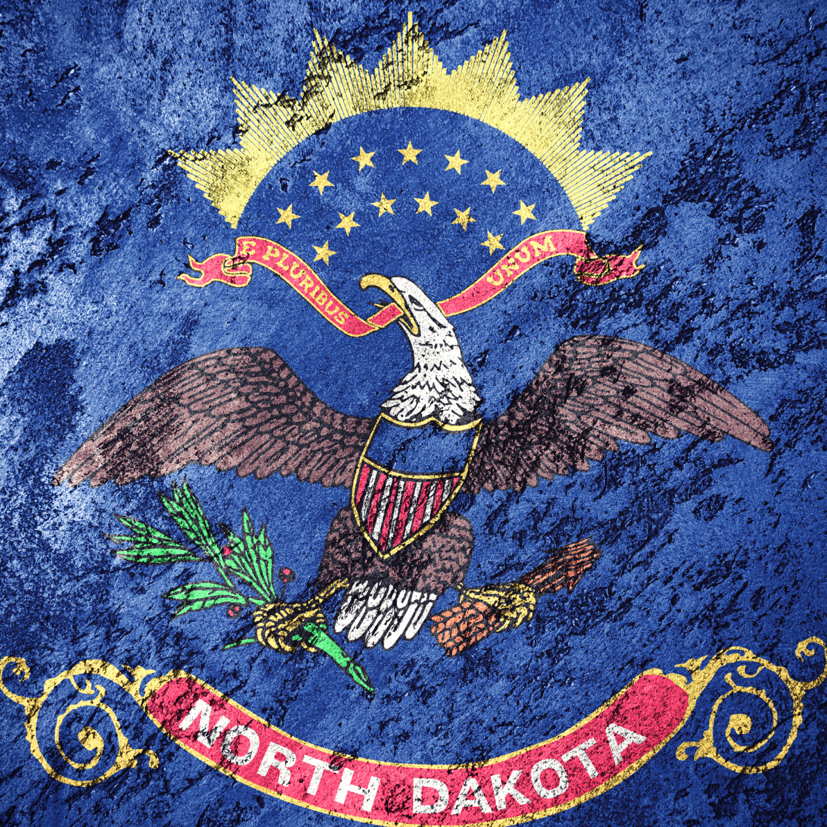 United States Prints - North Dakota
