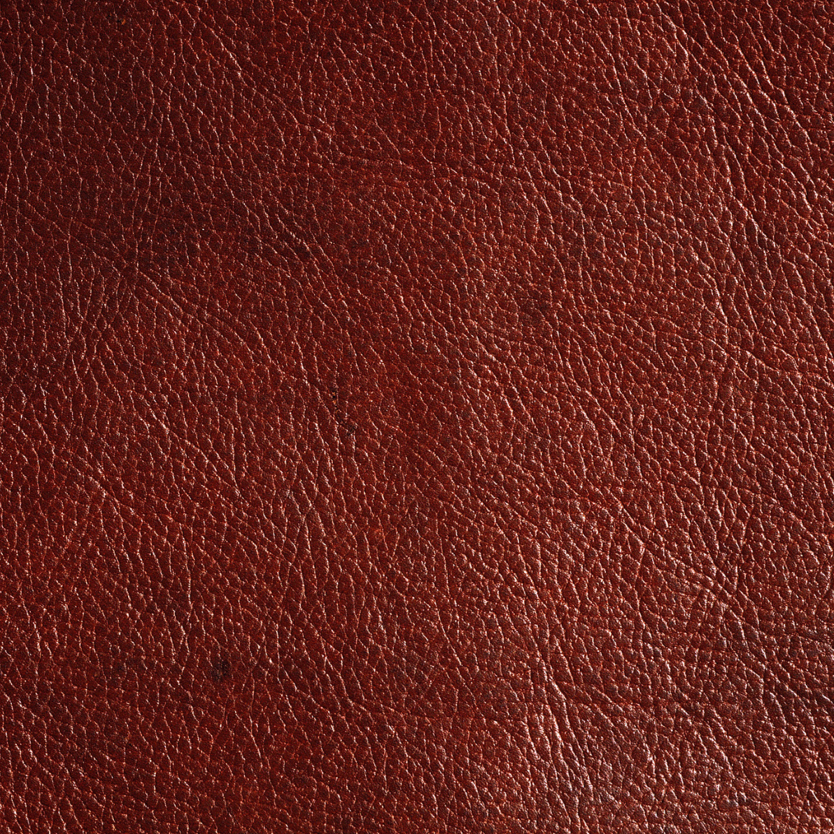 Western Print - Red Leather