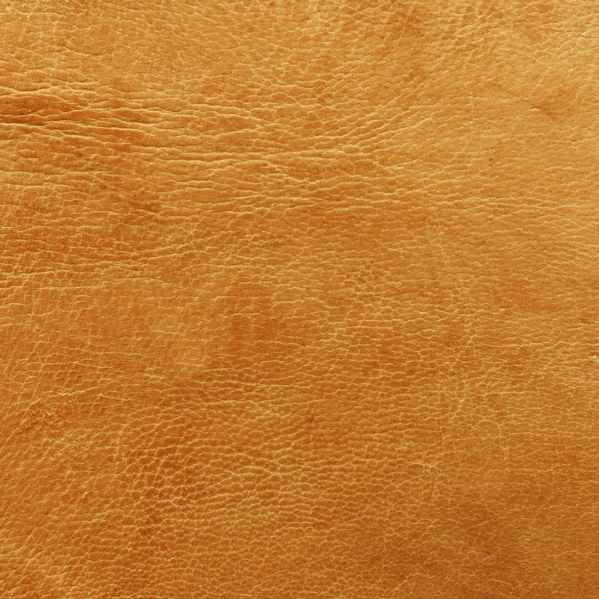 Western Print - Yellow Leather