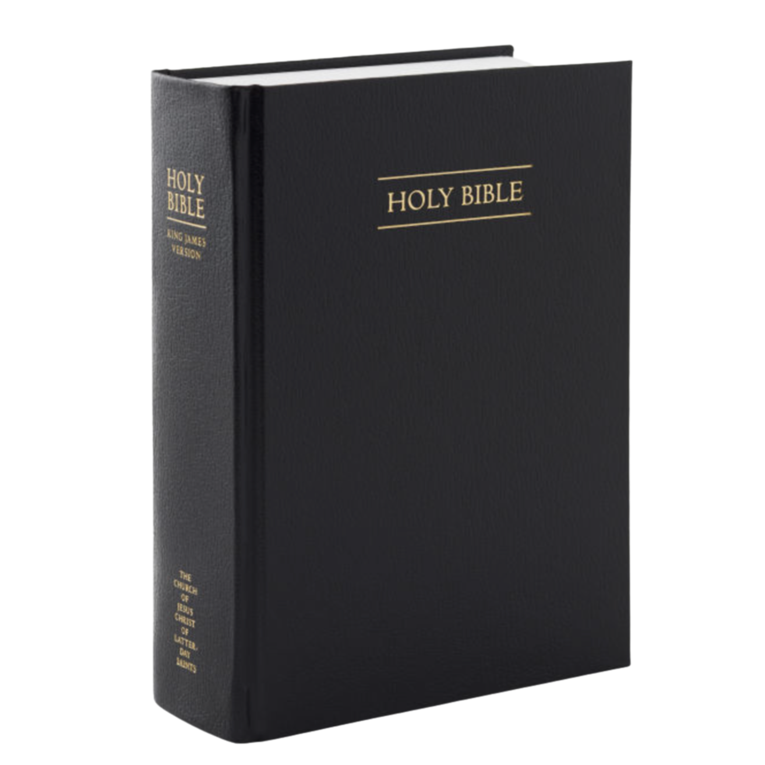 Holy Bible ScriptStyx