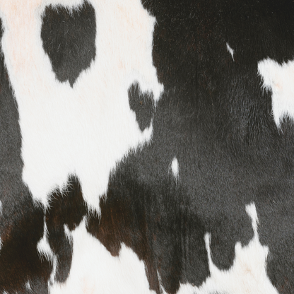Animal Print - Black & White Cow Print