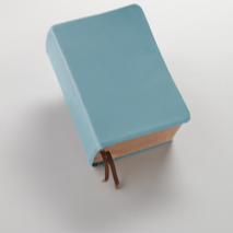 Solid Color - Baby Blue