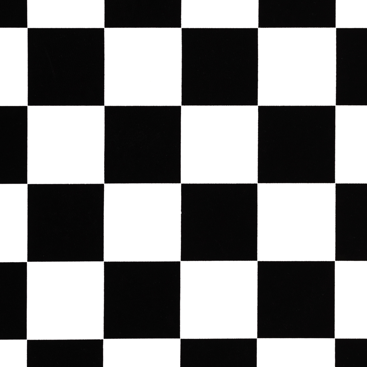 Checkered Print - Black & White Check