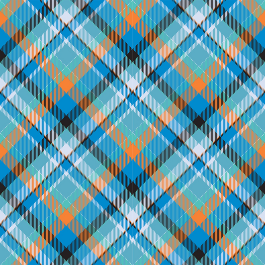 Plaid Print -Blue Plaid
