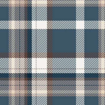 Plaid Print - Blue & Brown Plaid