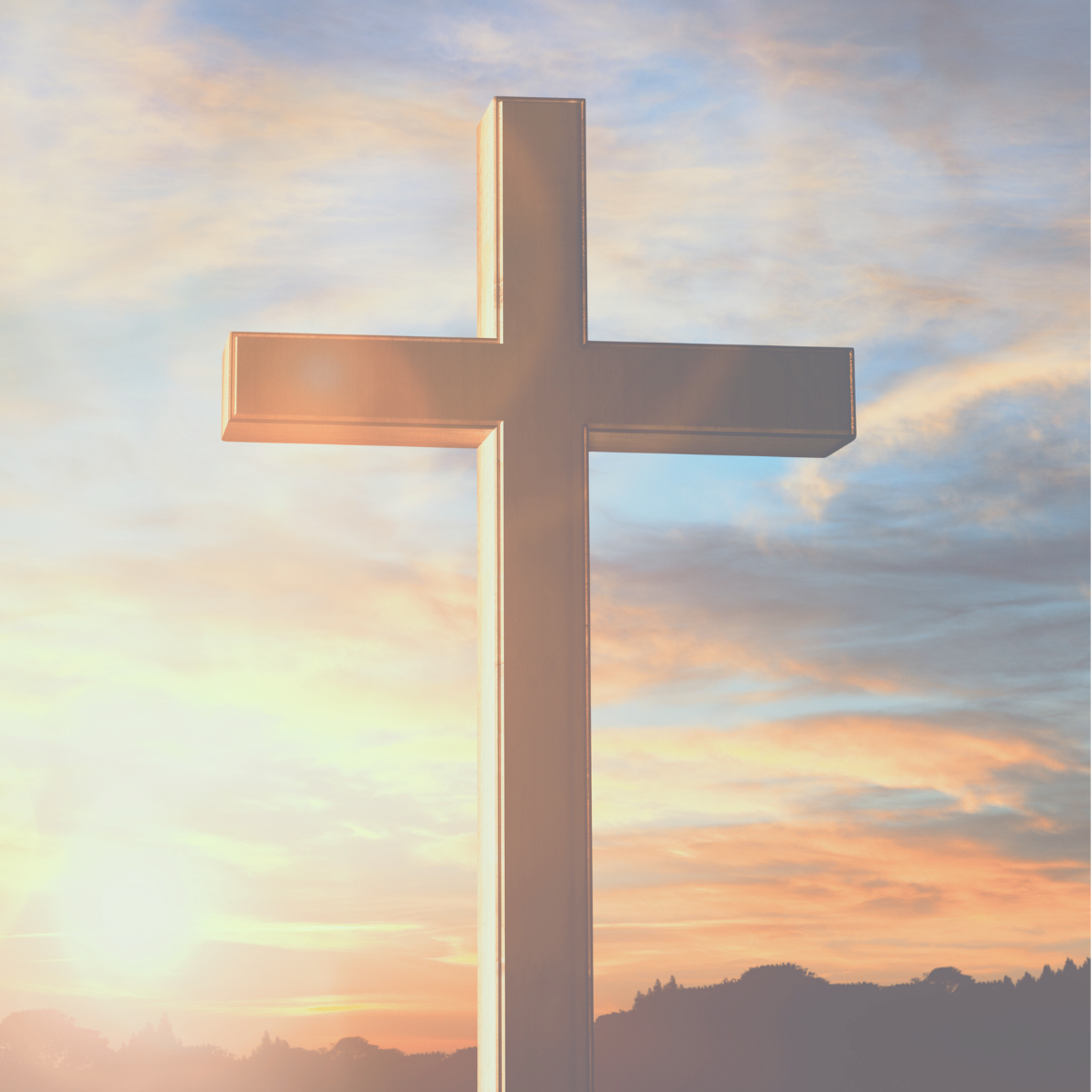 Cross ScriptStyx - Cross 6