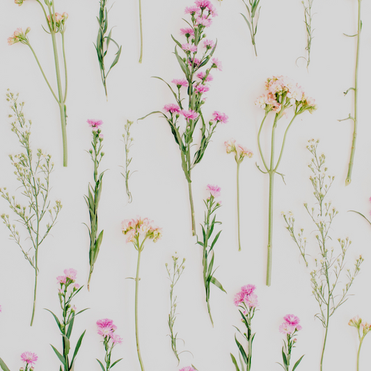 Floral Print - Floral 5