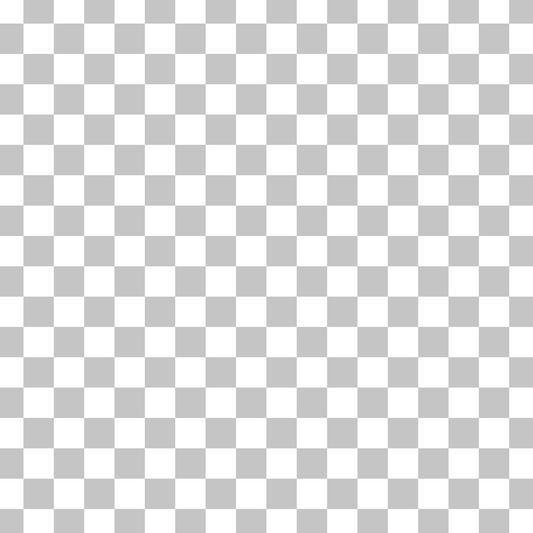 Checkered Print - Grey Check