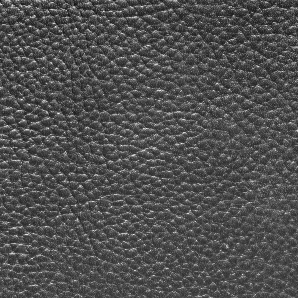 Western Print - Grey Leather