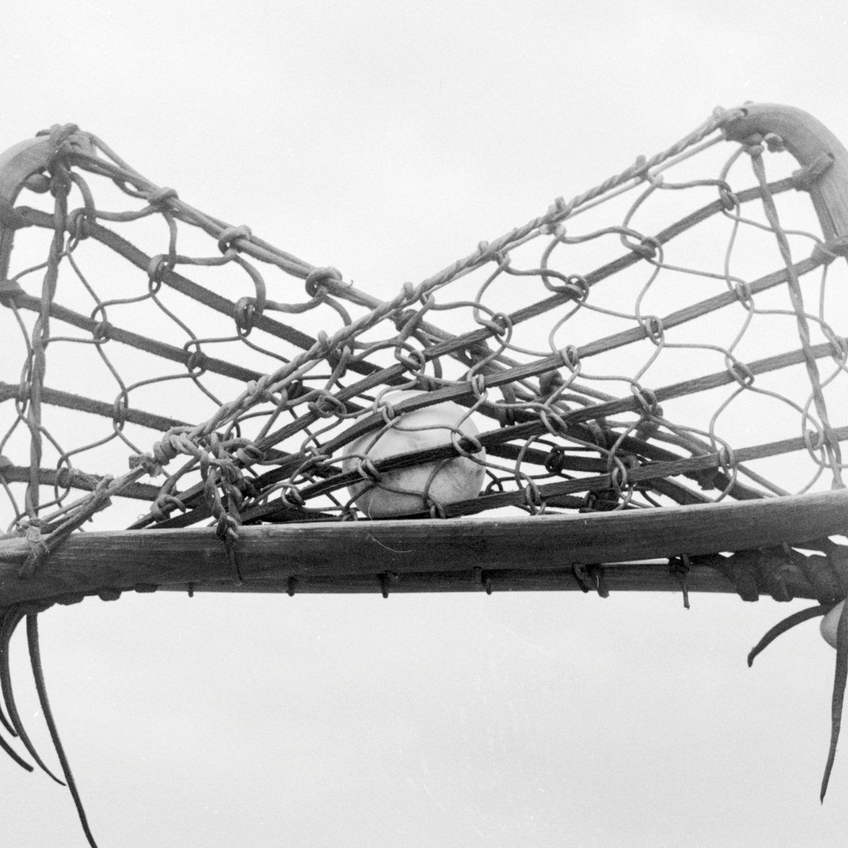 Sports ScriptStyx - Lacrosse 1