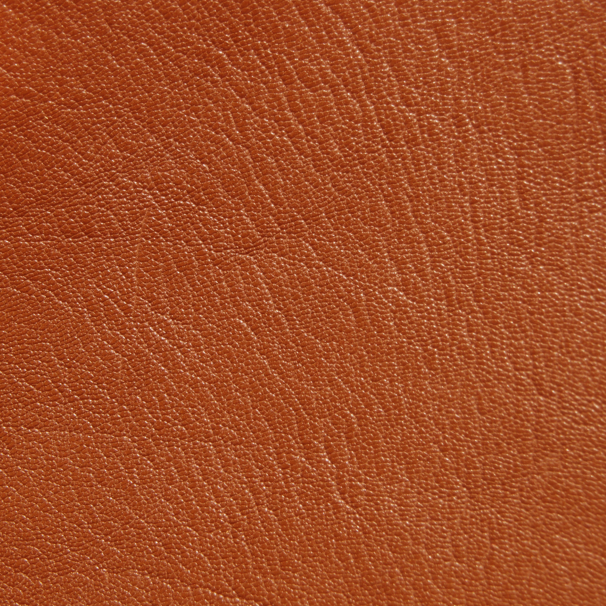 Western Print - Orange Leather