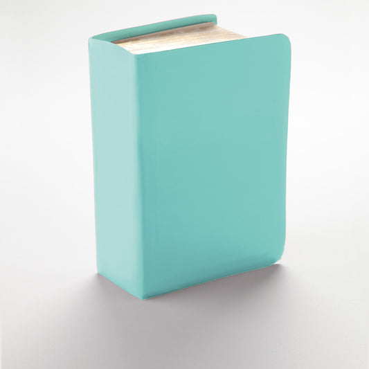 Solid Color - Robin Egg