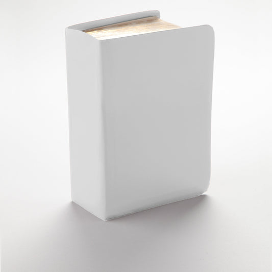 Solid Color - Silver