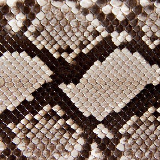 Animal Print - Snake