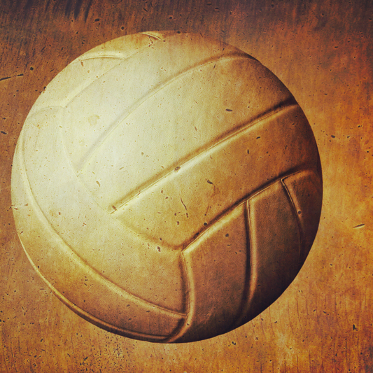 Sports ScriptStyx - Volleyball 2