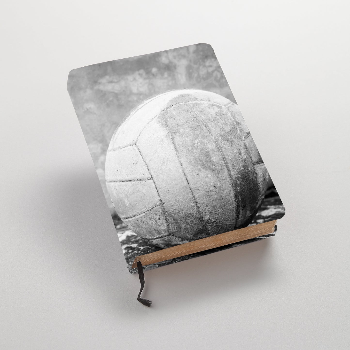 Sports ScriptStyx - Volleyball 3