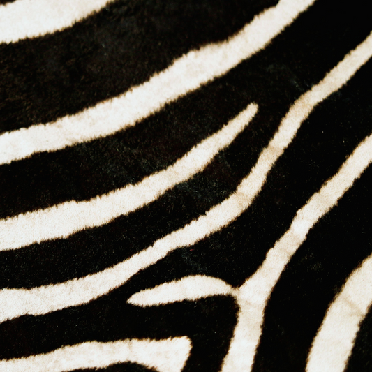 Animal Print - Zebra