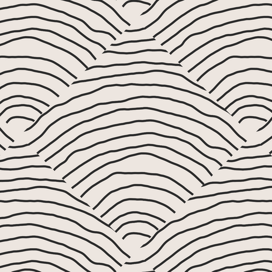 Modern Prints - Black and White Curves